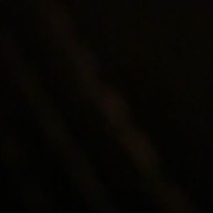 Meet your Posher, Phil